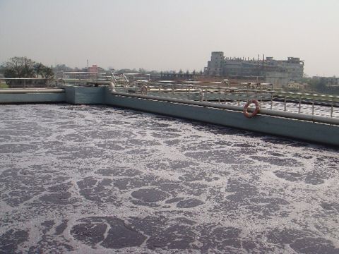Biological Plant (ASP)