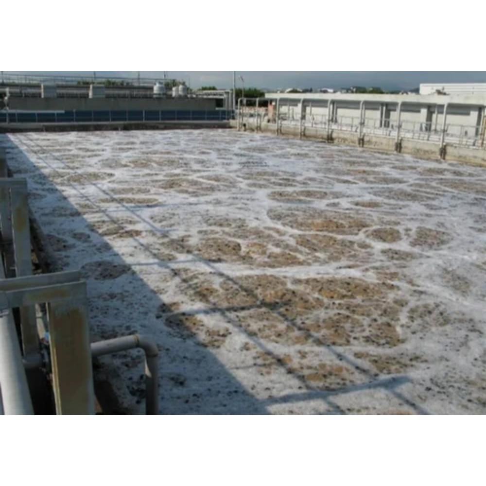 Biological Plant (MBBR)